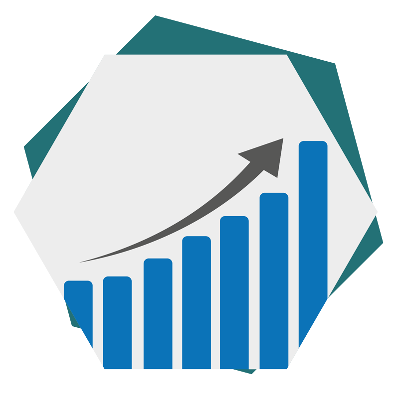 The Right Opportunity at Amideus