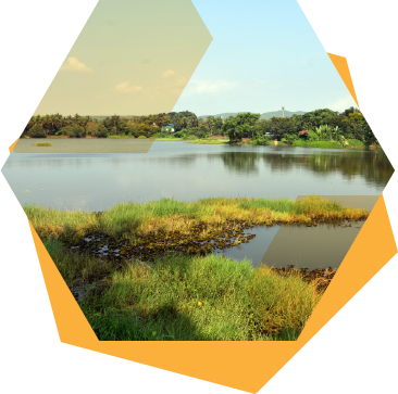 Amideus set to be carbon neutral