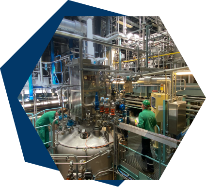 The right decision at Amideus