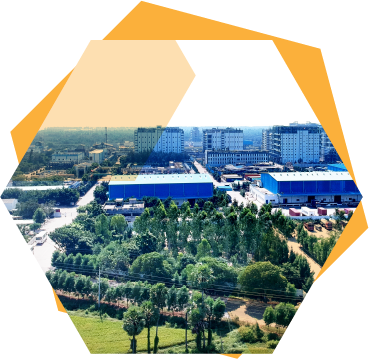 The Right Opportunity at Amideus