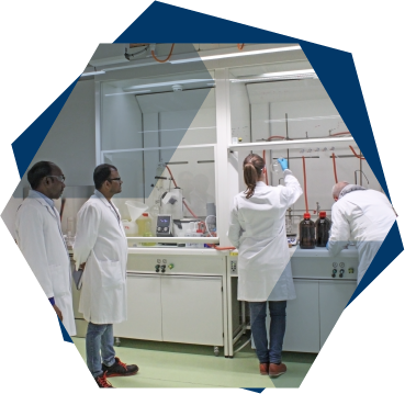 Amideus best of both worlds