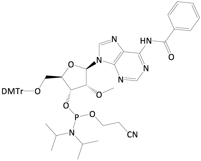2’-OMe-Adenosine-amidite