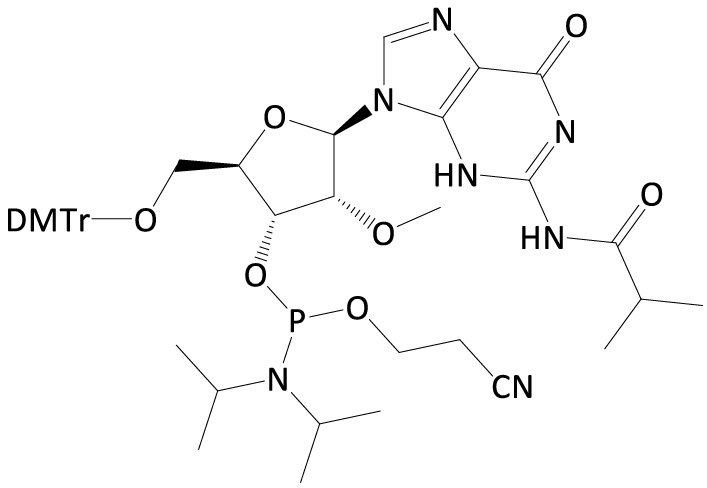 2’-OMe-Guanosine-amidite